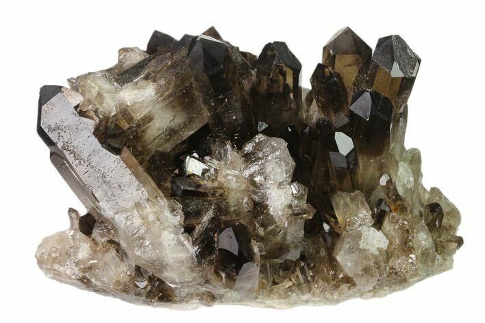 Dark Smoky Quartz Crystal Cluster - Brazil #137842